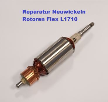 Reparatur Neuwicklung Rotor Flex L1710FRA
